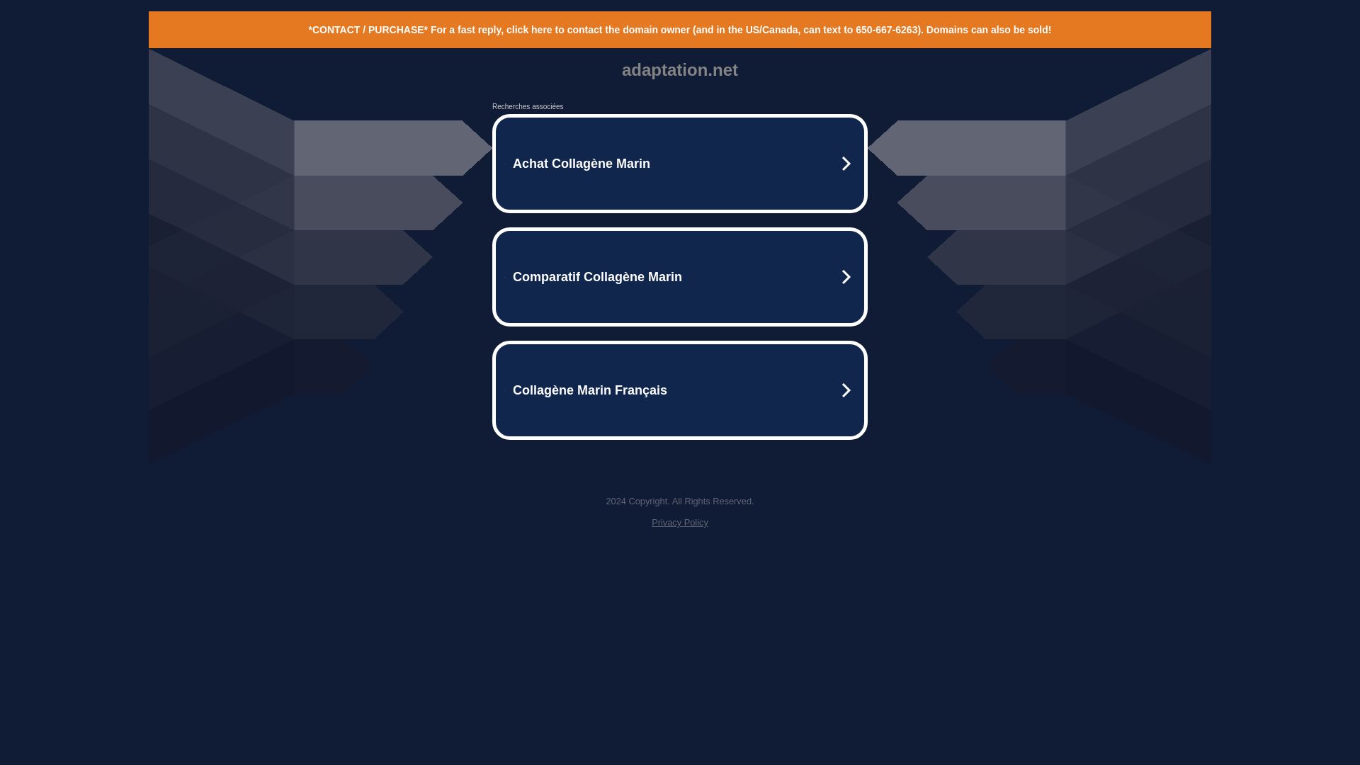 État du site web adaptation.net est   EN LIGNE