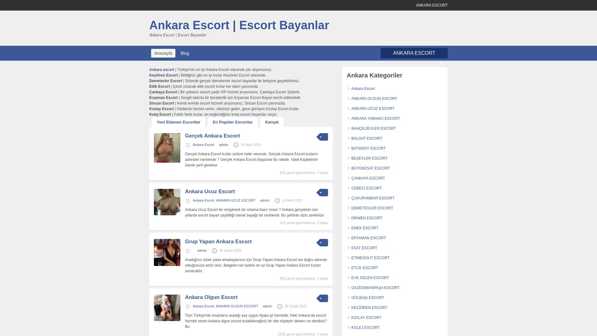 État du site web ankarabayan.org est   EN LIGNE