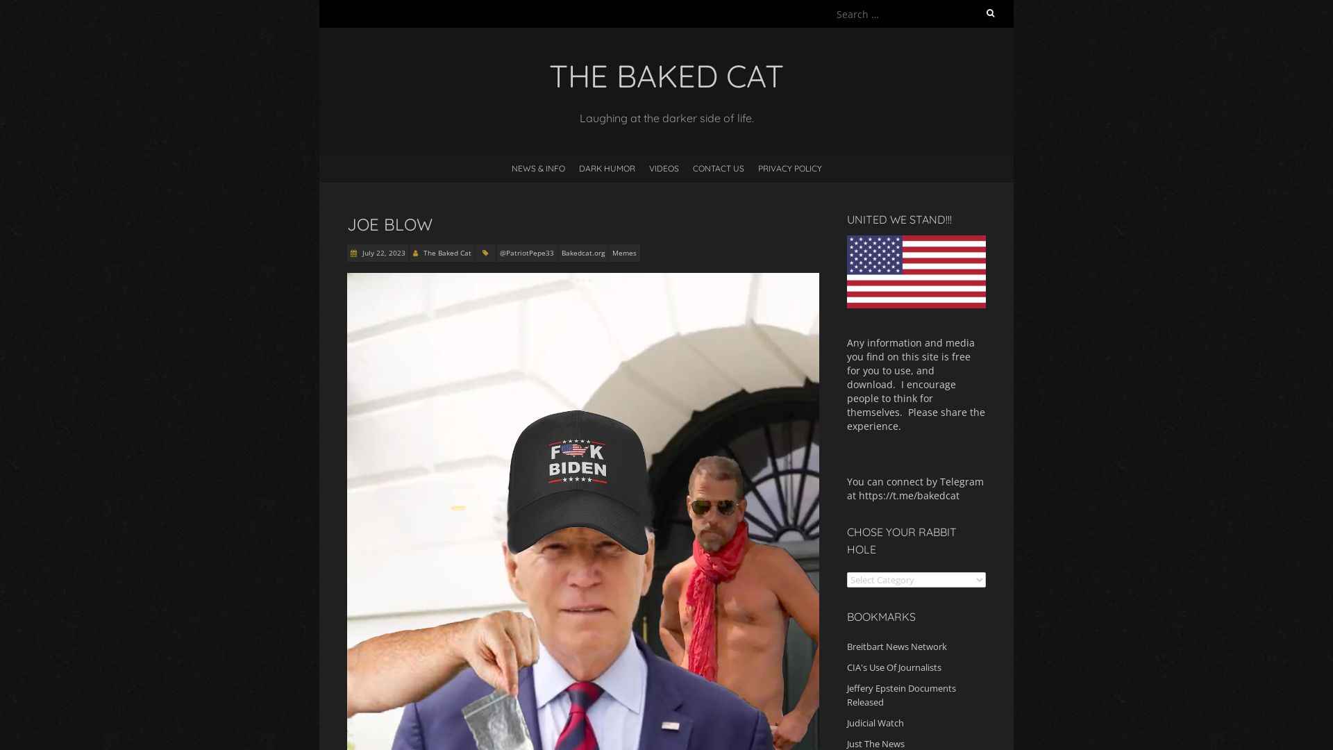État du site web bakedcat.org est   EN LIGNE
