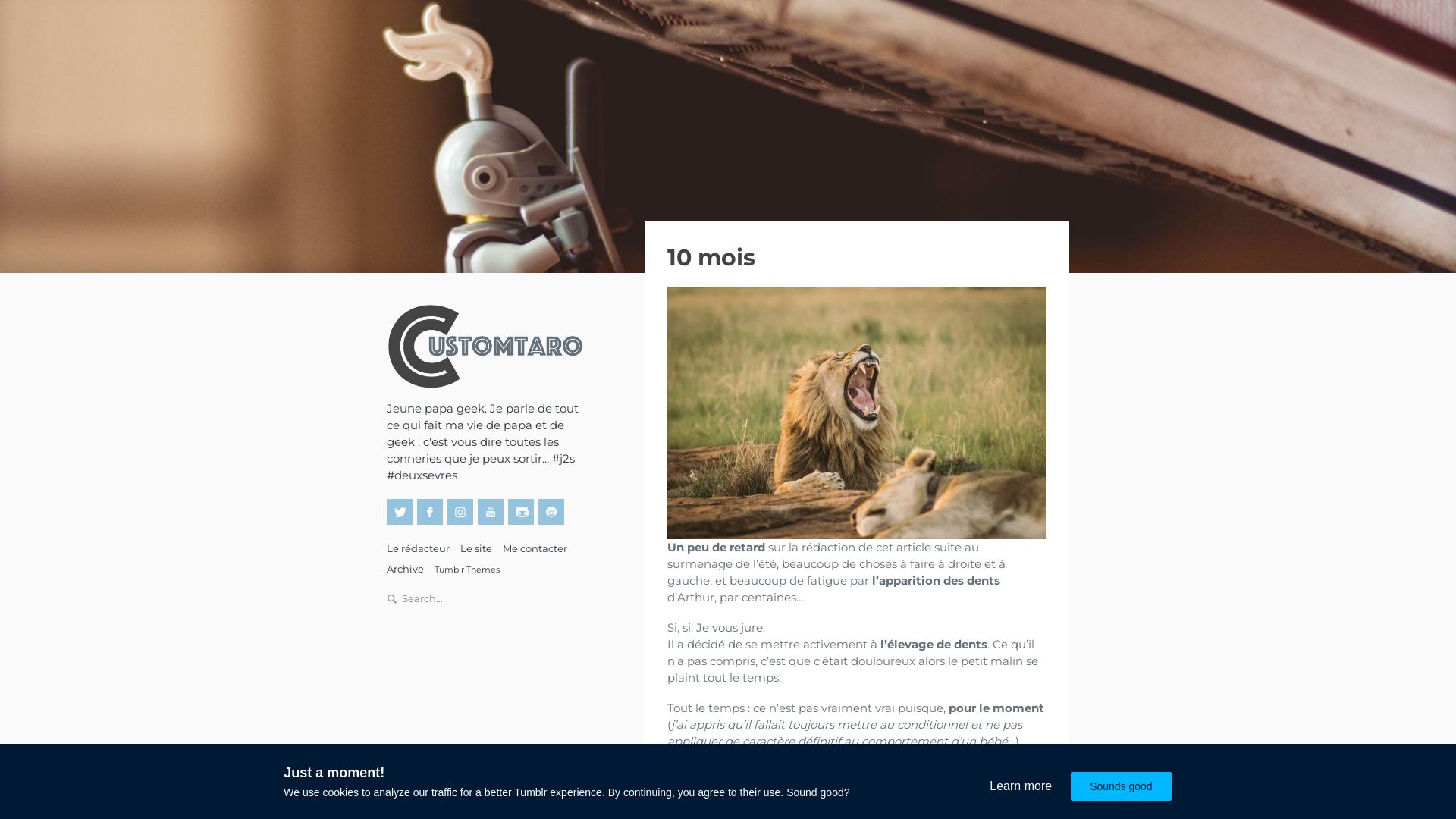 État du site web customtaro.fr est   EN LIGNE