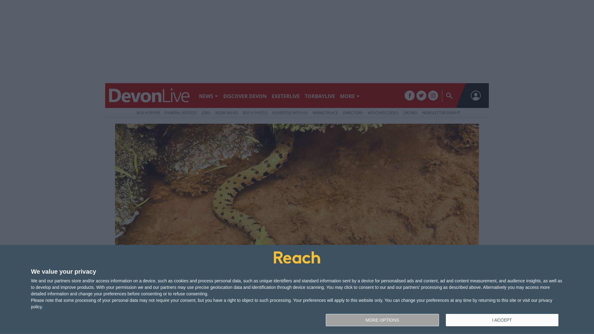 État du site web devonlive.com est   EN LIGNE