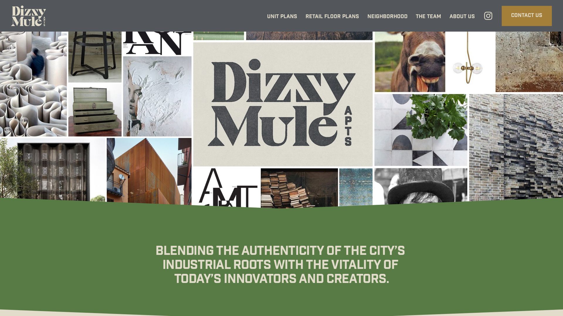 État du site web dizzymuleomaha.com est   EN LIGNE
