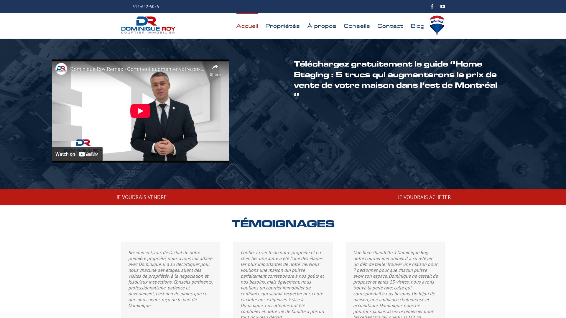 État du site web dominiqueroy.com est   EN LIGNE