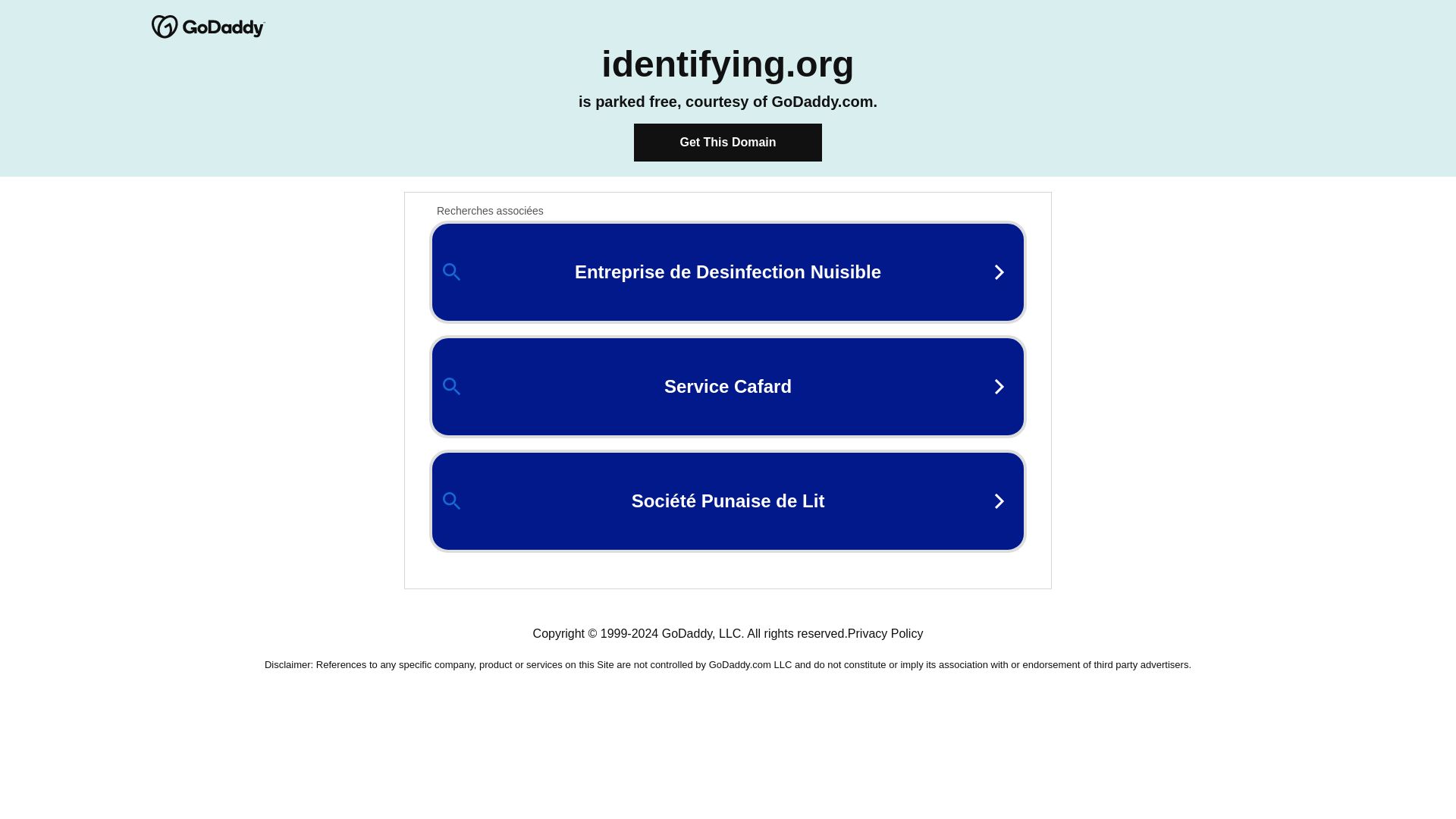 État du site web identifying.org est   EN LIGNE