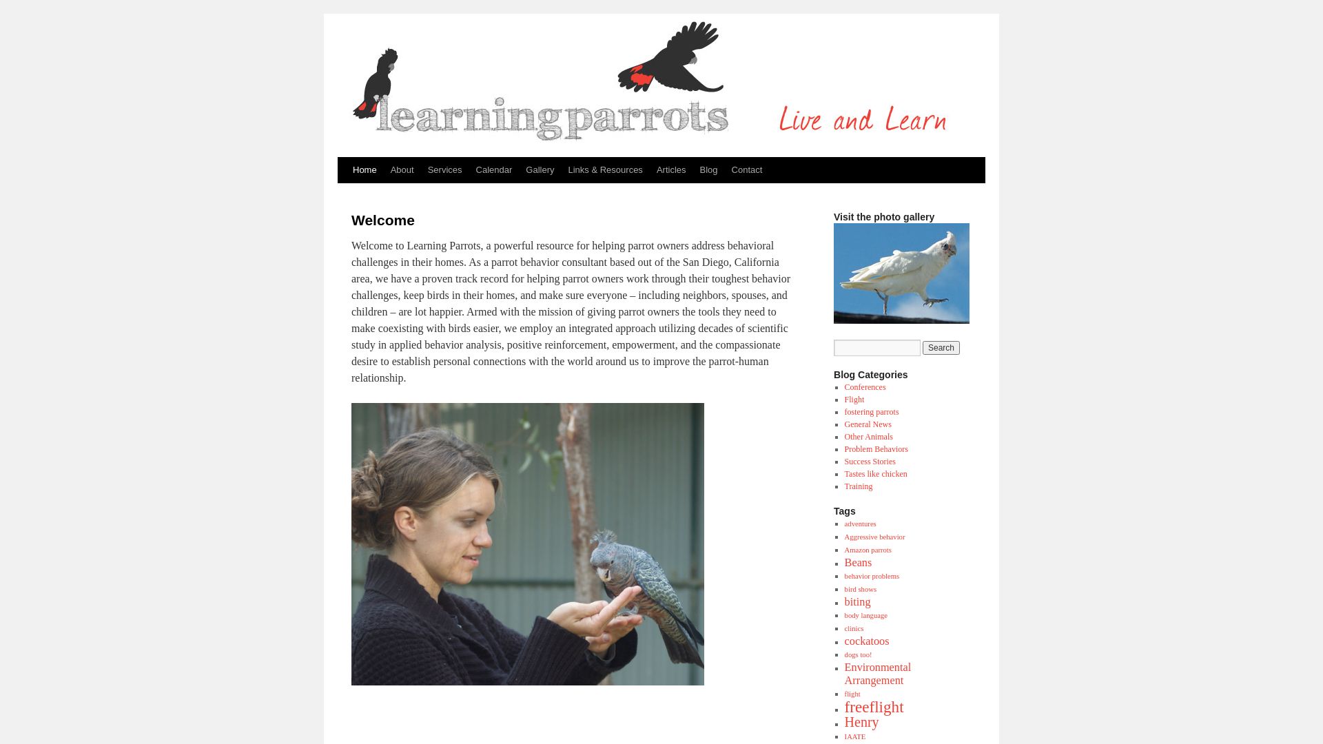 État du site web learningparrots.com est   EN LIGNE