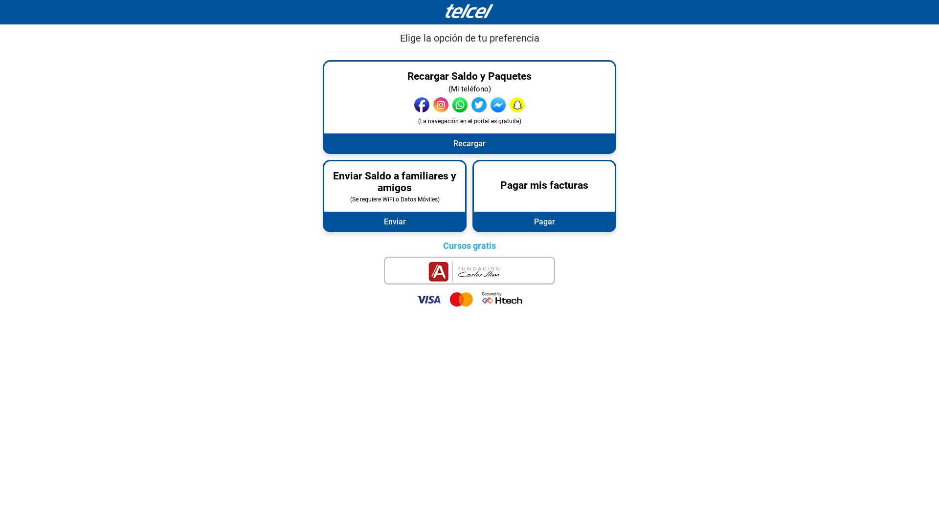 État du site web padnet.telcel.com est   EN LIGNE