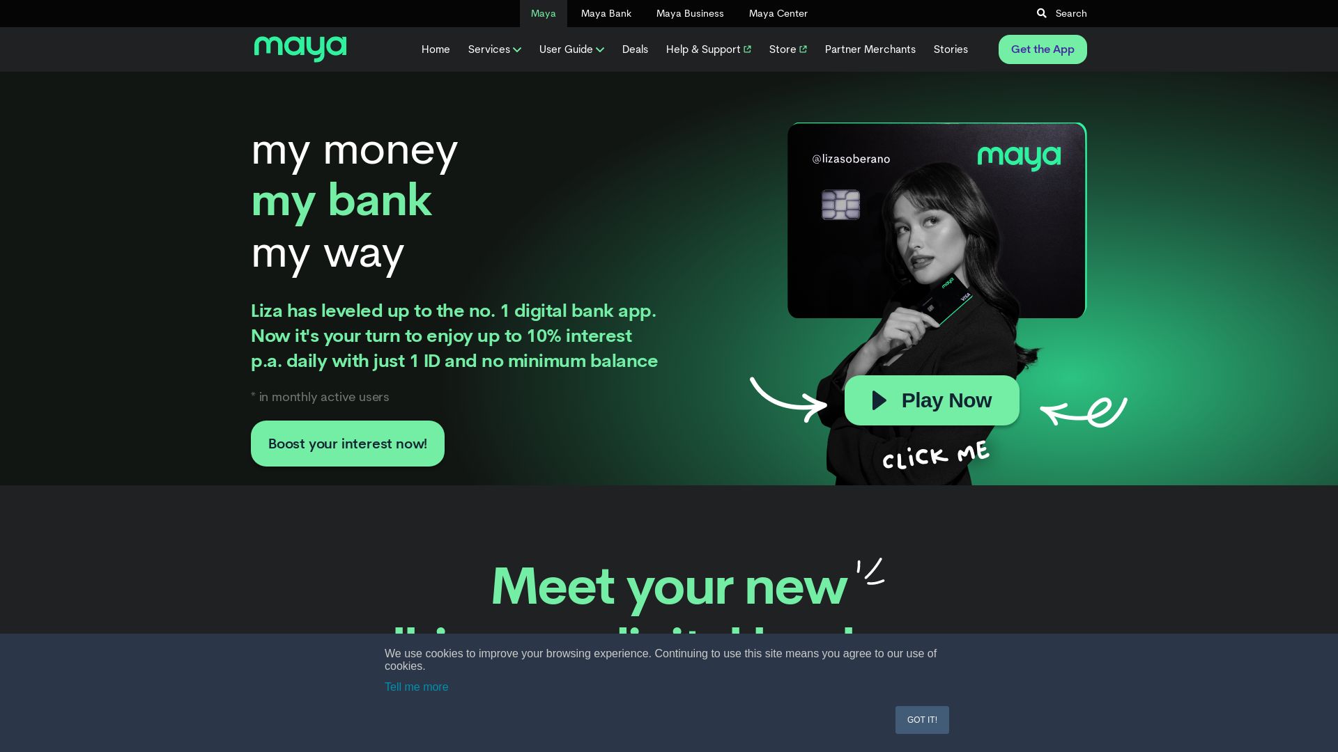 État du site web paymaya.com est   EN LIGNE