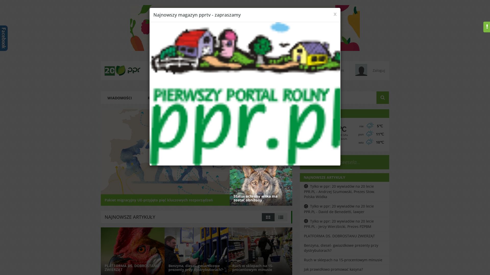 État du site web ppr.pl est   EN LIGNE