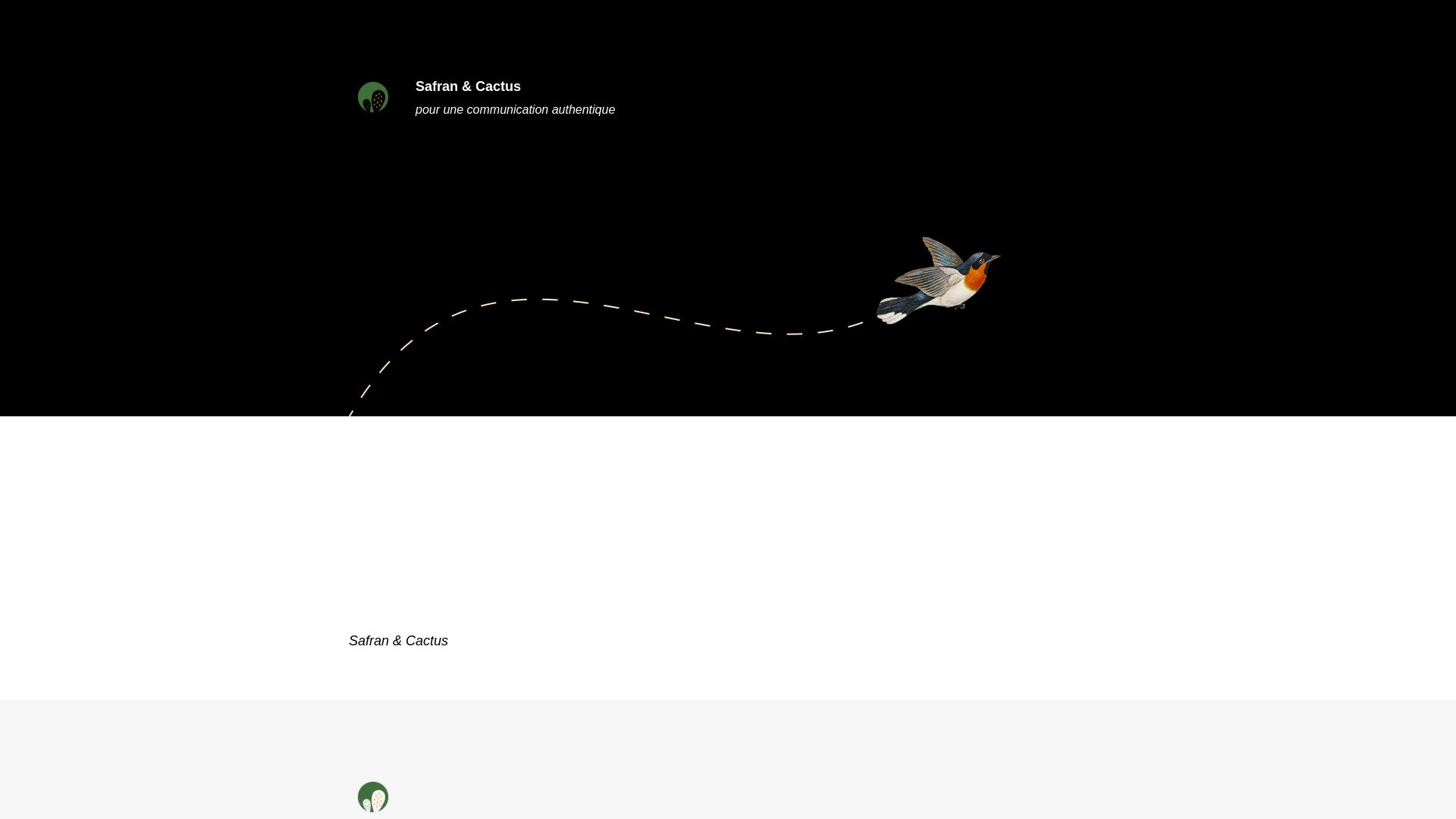 État du site web safranetcactus.fr est   EN LIGNE