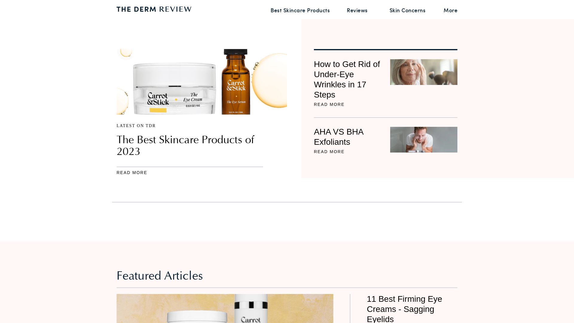 État du site web thedermreview.com est   EN LIGNE