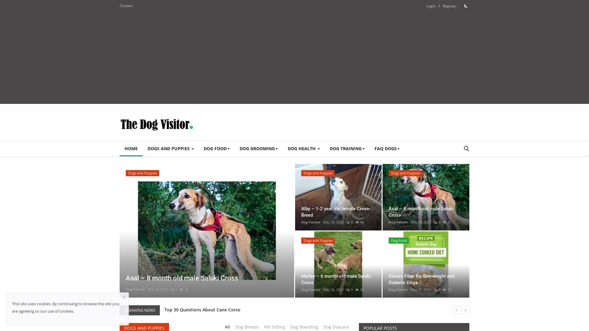 État du site web thedogvisitor.com est   EN LIGNE